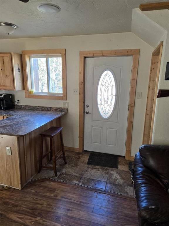 entryway featuring dark wood-type flooring