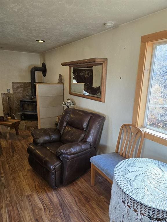 living room with a wood stove and hardwood / wood-style floors