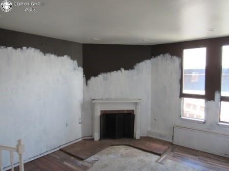 515 Mystic Ave, Canon City, CO 81212 - unfurnished living room featuring a fireplace and wood finished floors