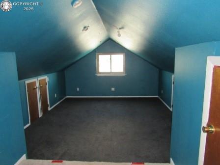 515 Mystic Ave, Canon City, CO 81212 - bonus room featuring vaulted ceiling and carpet flooring