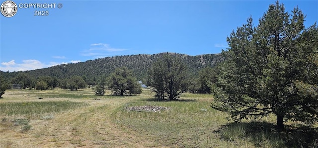 104 Sleepy Hollow Trl, Cotopaxi, CO 81223 - view of mountain background with rural landscape