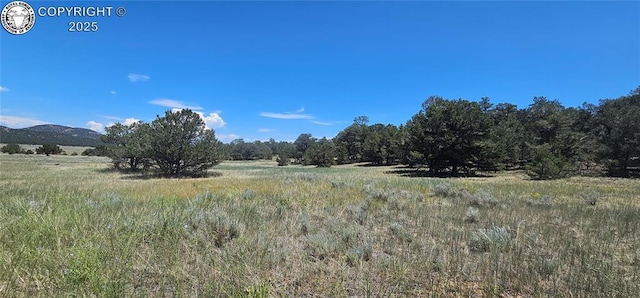 104 Sleepy Hollow Trl, Cotopaxi, CO 81223 - view of local wilderness featuring rural landscape and mountains