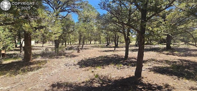104 Sleepy Hollow Trl, Cotopaxi, CO 81223 - view of local wilderness