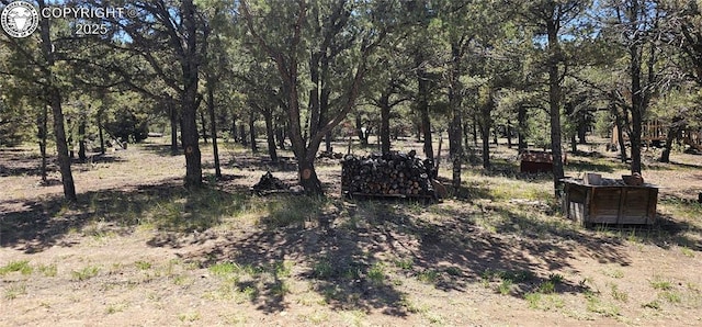 104 Sleepy Hollow Trl, Cotopaxi, CO 81223 - view of yard