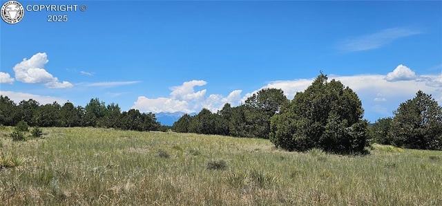 104 Sleepy Hollow Trl, Cotopaxi, CO 81223 - view of tree filled area