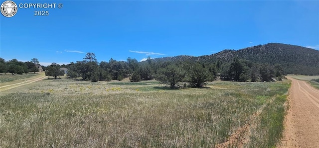 104 Sleepy Hollow Trl, Cotopaxi, CO 81223 - mountain view with rural landscape