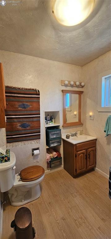 104 Sleepy Hollow Trl, Cotopaxi, CO 81223 - bathroom with wood finished floors and vanity