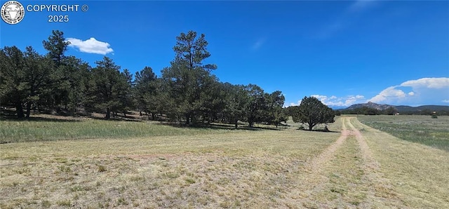 104 Sleepy Hollow Trl, Cotopaxi, CO 81223 - view of yard featuring a view of rural / pastoral area