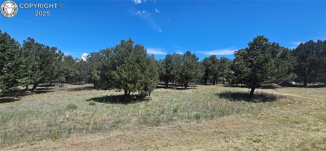 104 Sleepy Hollow Trl, Cotopaxi, CO 81223 - view of nature featuring rural landscape