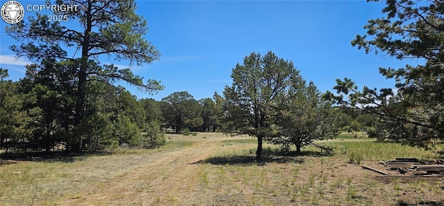 104 Sleepy Hollow Trl, Cotopaxi, CO 81223 - view of local wilderness