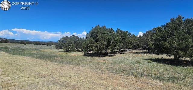 104 Sleepy Hollow Trl, Cotopaxi, CO 81223 - view of nature featuring rural landscape
