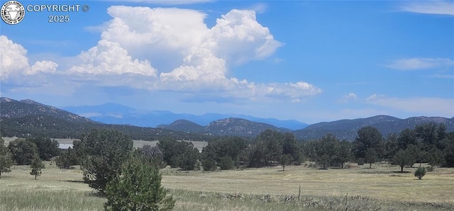 104 Sleepy Hollow Trl, Cotopaxi, CO 81223 - mountain view with rural landscape