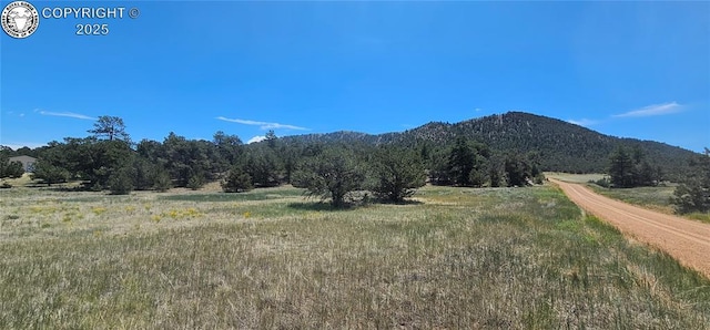 104 Sleepy Hollow Trl, Cotopaxi, CO 81223 - view of mountain background featuring rural landscape