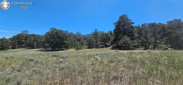104 Sleepy Hollow Trl, Cotopaxi, CO 81223 - view of wooded area