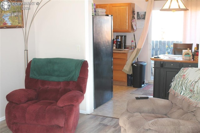 living room with light hardwood / wood-style flooring