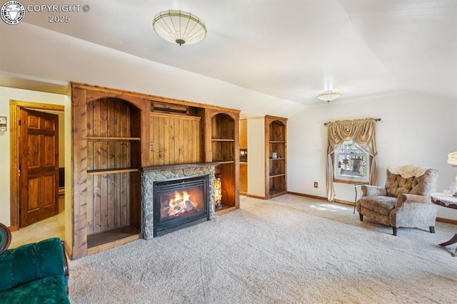 123 W Masonic Ave, Cripple Creek, CO 80813 - photo 9
