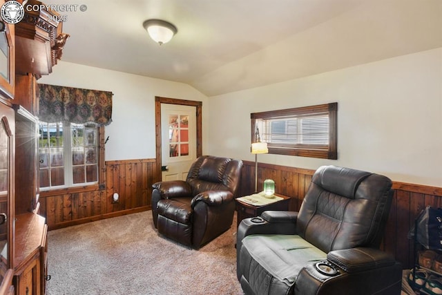 123 W Masonic Ave, Cripple Creek, CO 80813 - photo 14