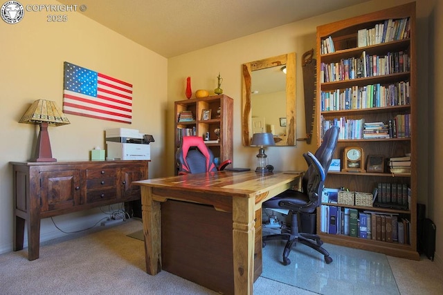 office area featuring light carpet