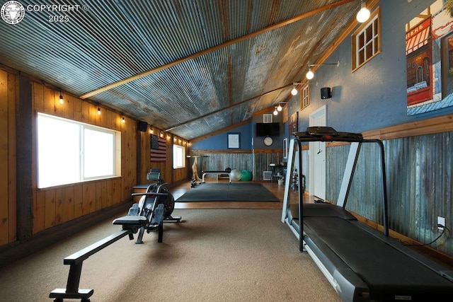 exercise room with wooden walls