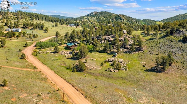3980 County Road 71, Guffey, CO 80820 - photo 39