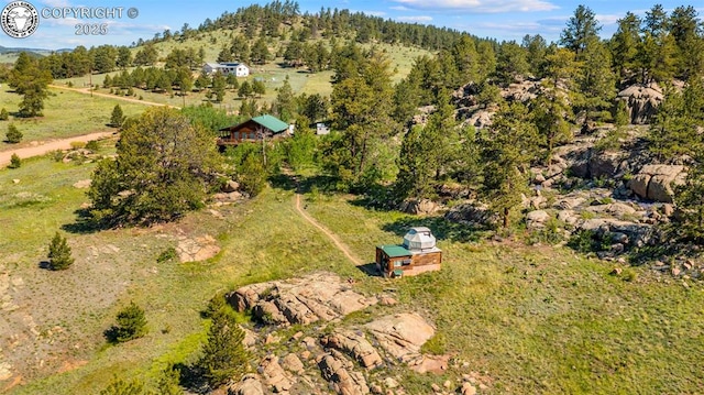 3980 County Road 71, Guffey, CO 80820 - photo 46
