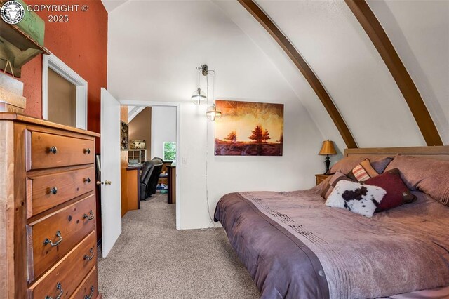 1559 9th St, Penrose, CO 81240 - photo 22