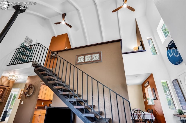 1559 9th St, Penrose, CO 81240 - photo 6