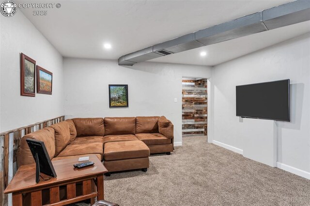 1016 College Ave, Canon City, CO 81212 - photo 23