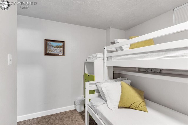 1016 College Ave, Canon City, CO 81212 - photo 31