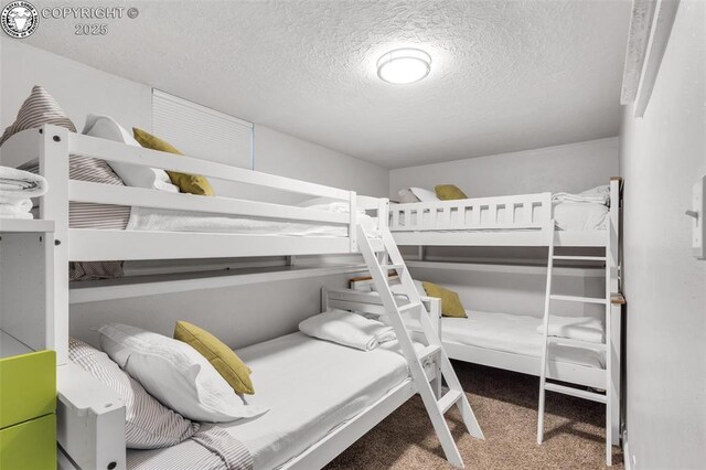 1016 College Ave, Canon City, CO 81212 - photo 30