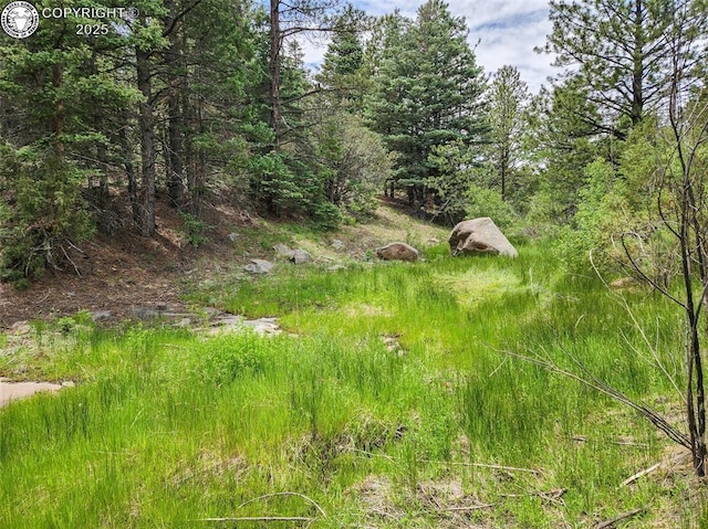427 Upper Aspen Trail Rd, Westcliffe, CO 81252 - photo 4