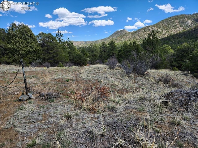 427 Upper Aspen Trail Rd, Westcliffe, CO 81252 - photo 34