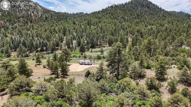 427 Upper Aspen Trail Rd, Westcliffe, CO 81252 - photo 16