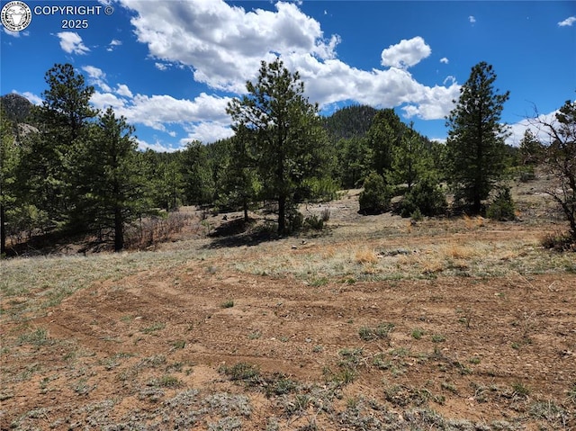 427 Upper Aspen Trail Rd, Westcliffe, CO 81252 - photo 32