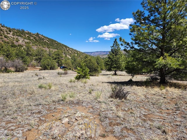 427 Upper Aspen Trail Rd, Westcliffe, CO 81252 - photo 31