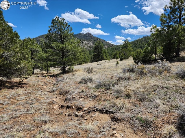 427 Upper Aspen Trail Rd, Westcliffe, CO 81252 - photo 29