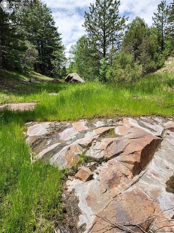 427 Upper Aspen Trail Rd, Westcliffe, CO 81252 - photo 5