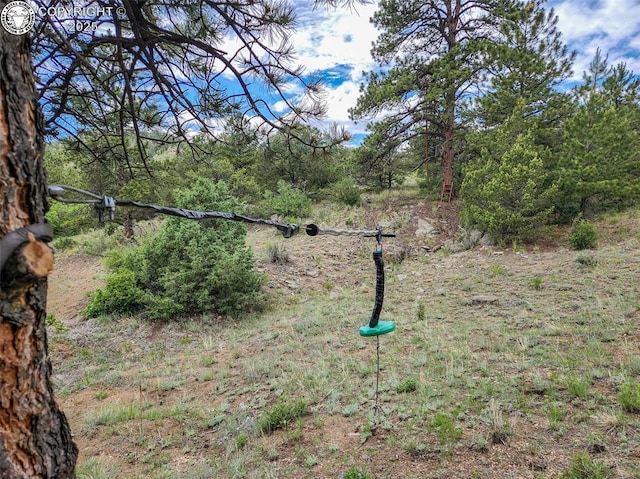 427 Upper Aspen Trail Rd, Westcliffe, CO 81252 - photo 8