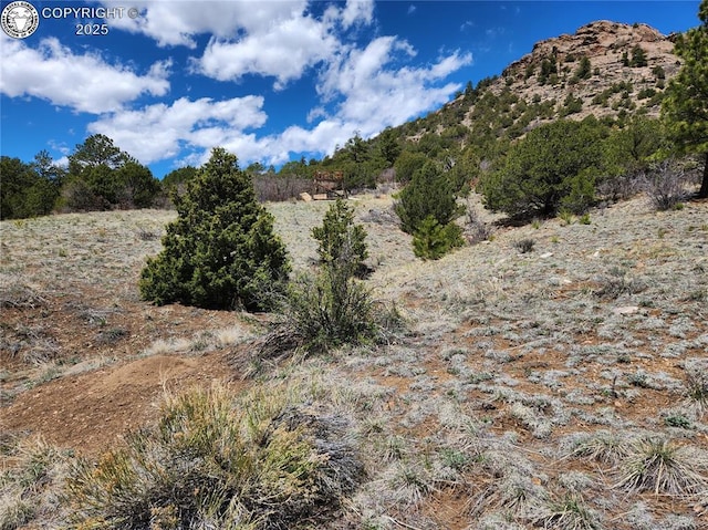 427 Upper Aspen Trail Rd, Westcliffe, CO 81252 - photo 21