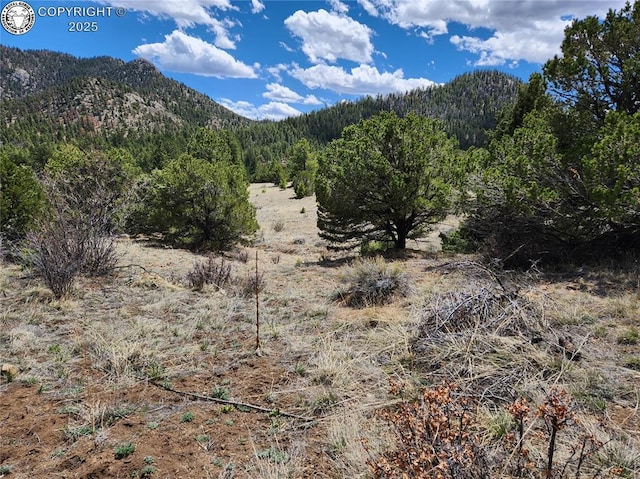 427 Upper Aspen Trail Rd, Westcliffe, CO 81252 - photo 26
