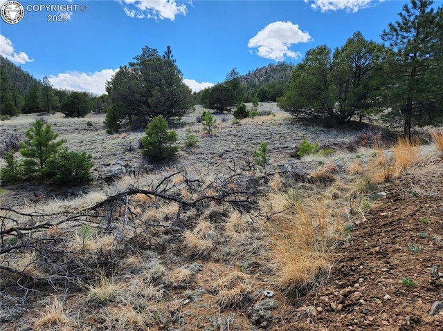 427 Upper Aspen Trail Rd, Westcliffe, CO 81252 - photo 33