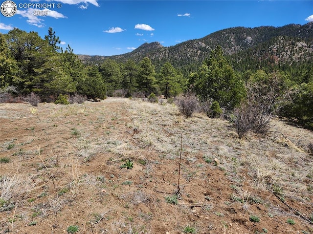 427 Upper Aspen Trail Rd, Westcliffe, CO 81252 - photo 27