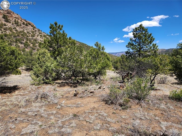 427 Upper Aspen Trail Rd, Westcliffe, CO 81252 - photo 30