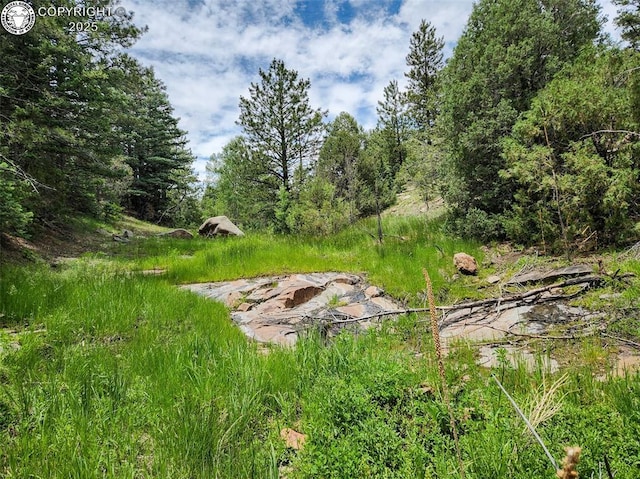 427 Upper Aspen Trail Rd, Westcliffe, CO 81252 - photo 6