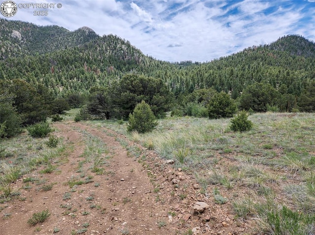 427 Upper Aspen Trail Rd, Westcliffe, CO 81252 - photo 15