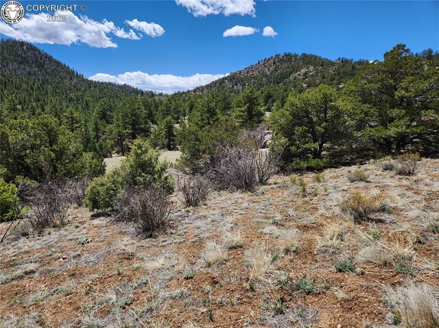 427 Upper Aspen Trail Rd, Westcliffe, CO 81252 - photo 24
