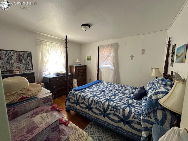 605 Whipple Ave, Canon City, CO 81212 - photo 7