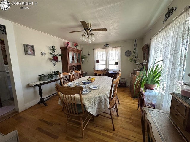 605 Whipple Ave, Canon City, CO 81212 - photo 3