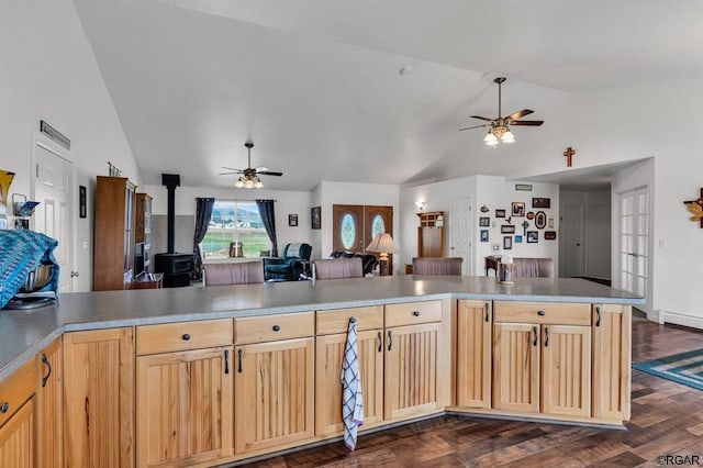 kitchen with lofted ceiling, dark hardwood / wood-style flooring, ceiling fan, and a wood stove