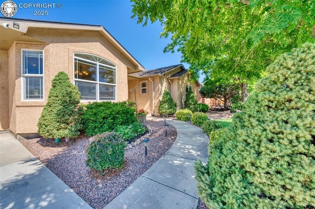 355 Antero Dr, Canon City, CO 81212 - doorway to property featuring stucco siding
